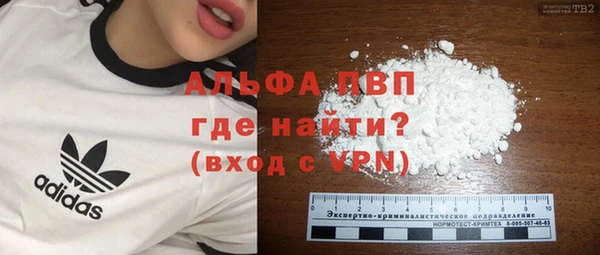 эйфоретик Каменногорск