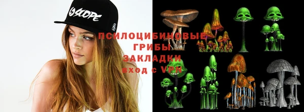 мяу мяу мука Каменск-Шахтинский