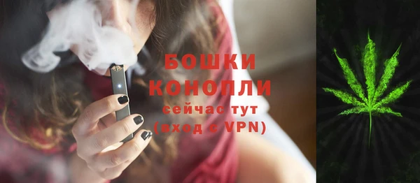 эйфоретик Каменногорск