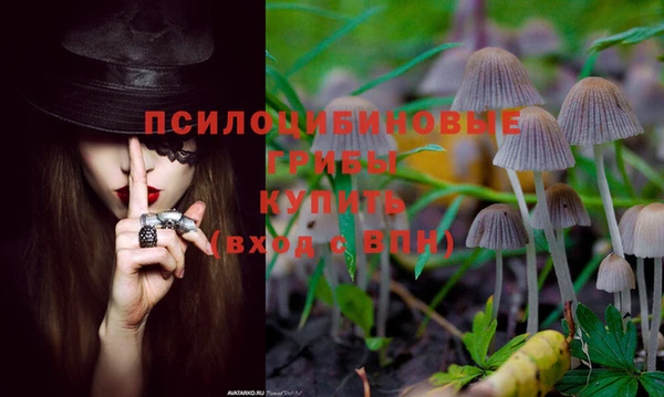 амфетамин Каменка
