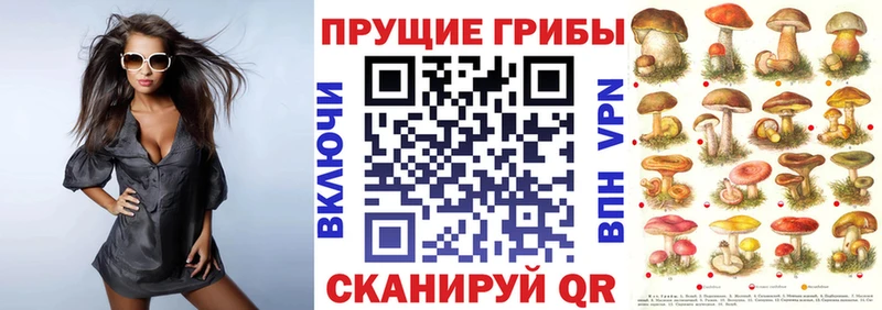 Галлюциногенные грибы MAGIC MUSHROOMS  Купить закладки  Белый 